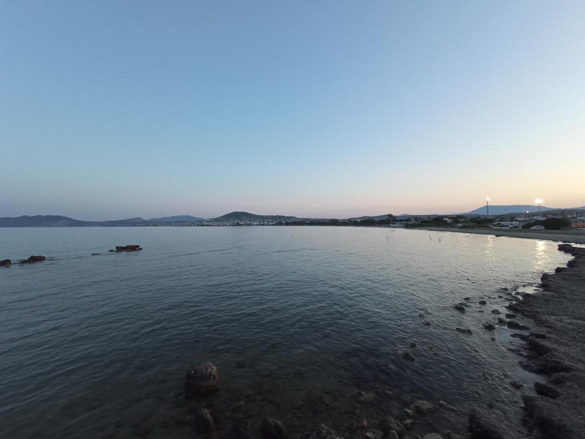 Flat With Garden Near Sea, Port And Airport Apartment Artemida  Luaran gambar