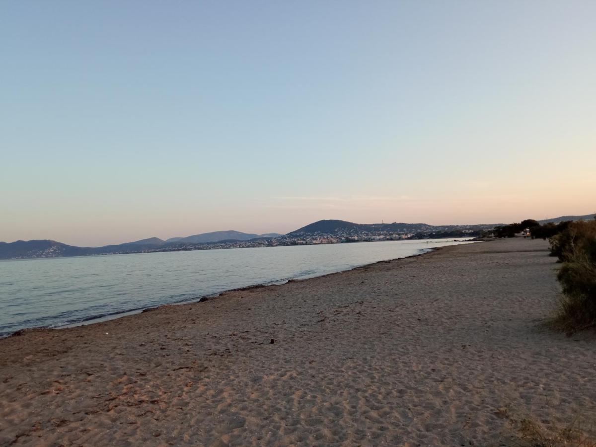 Flat With Garden Near Sea, Port And Airport Apartment Artemida  Luaran gambar